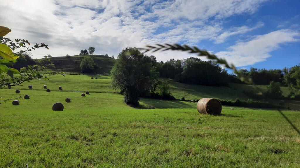 Gite rural Les Soldanelles - la motte castrale de Curienne