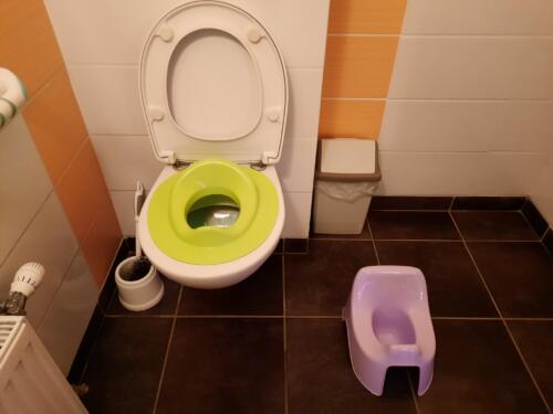 Toilettes adaptées